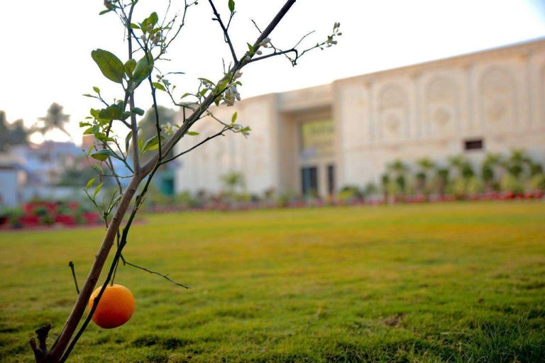 Karachi Campus Auditorium Wins Second Prize at Pakistan Flower Show